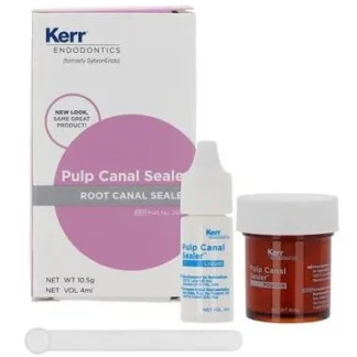 PULP CANAL